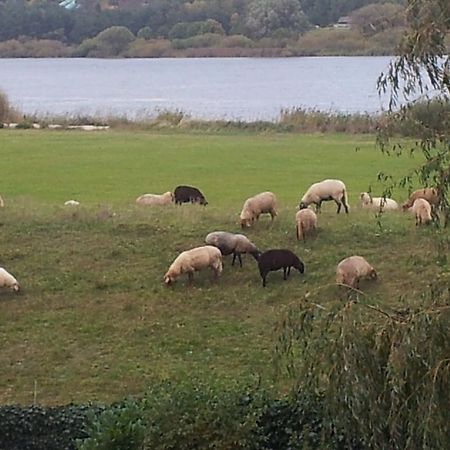 Appartamento Elbe-Ferien 2 Tespe Esterno foto